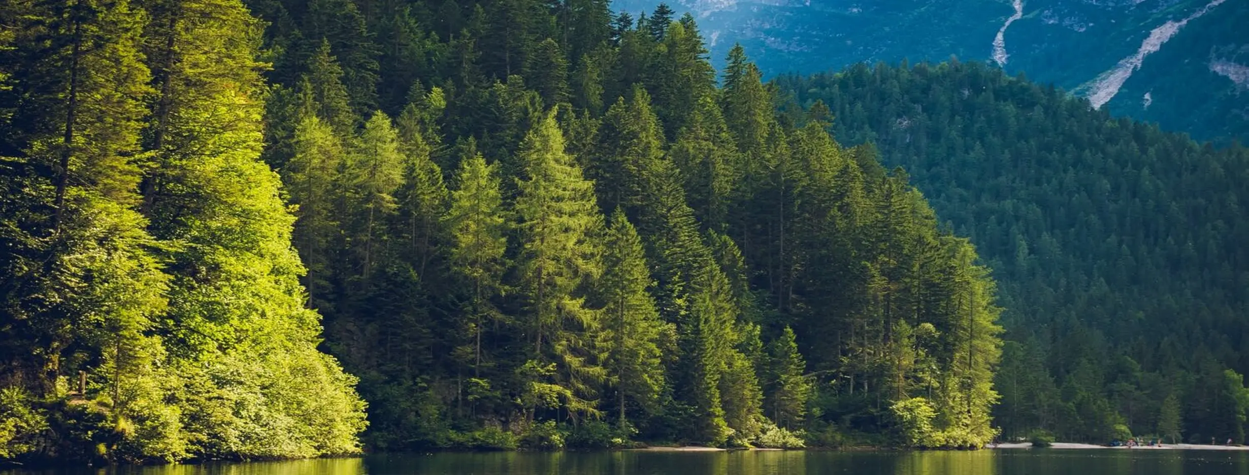Image for Scenic Views